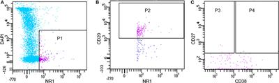 Study of B Cell Repertoire in Patients With Anti-N-Methyl-D-Aspartate Receptor Encephalitis